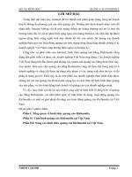 Nâng cao hình thức quảng cáo richmedia tại việt nam