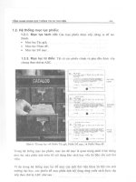 Giáo trình tổng quan khoa học thông tin và thư viện part 5 docx