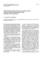 Báo cáo lâm nghiệp: 