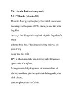 Các vitamin hoà tan trong nước ppt