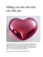 Những con sâu róm trên cây tình yêu docx