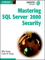 mastering sql server 2000 security PHẦN 1 ppt