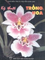 Kỹ thuật trồng hoa part 1 pptx