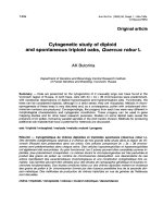 Báo cáo khoa học: 