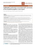 Báo cáo khoa học: 