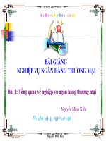 BÀI GIẢNG NGHIỆP VỤ NGÂN HÀNG THƯƠNG MẠI_Bài 1: Tổng quan về nghiệp vụ NHTM docx