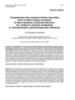 Báo cáo lâm nghiệp: 