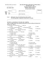 ĐỀ THI CHỌN HỌC SINH GIỎI CẤP TỈNH VÒNG 1 NĂM HỌC 2010 - 2011 pot