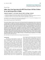 Báo cáo toán học: 