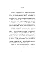 Nghiên cứu phát triển các tổ chức tài chính vi mô ở huyện hưng nguyên   tỉnh nghệ an