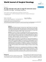 Báo cáo khoa học: 