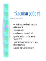 TÀI CHÍNH QUỐC TẾNỘI DUNG NGHIÊN CỨU:       CƠ SỞ HÌNH THÀNH VÀ pdf