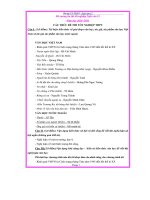 Đề cương ôn thi tốt nghiệp ngữ văn 12
