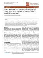 Báo cáo khoa học: 