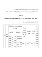 MẪU BÁO CÁO TỔNG HỢP TÌNH HÌNH CHẤP HÀNH DỰ TRỮ BẮT BUỘC CỦA TỔ CHỨC TÍN DỤNG pps