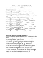 Kiểm tra cuối kỳ năm 2010-2011 Môn: Anh Văn - Mã 278 pps