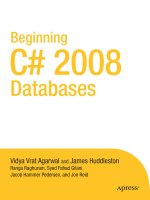 Beginning C# 2008 Databases From Novice to Professional phần 1 potx