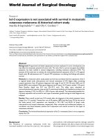 Báo cáo khoa học: 