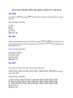 ĐỀ LUYỆN THI HSG MÔN: HÓA HỌC( CÓ ĐÁP ÁN) – ĐỀ SỐ 32 ppt