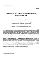 Báo cáo khoa học: 