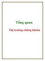 Chương 1: Tổng quan về Thị trường chứng khoán potx