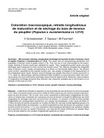 Báo cáo lâm nghiệp: 