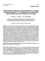 Báo cáo khoa học: 