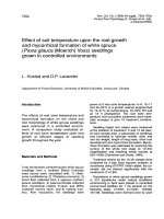 Báo cáo lâm nghiệp: 