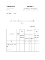 MẪU BÁO CÁO TÌNH HÌNH BIẾN ĐỘNG VỐN CHỦ SỞ HỮU pptx