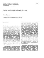 Báo cáo lâm nghiệp: 