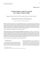 Báo cáo khoa học: 