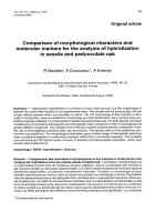 Báo cáo lâm nghiệp: 