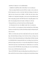 Ứng dụng hệ quản trị Oracle xây dựng hệ thống bán hàng tại VINDA - 2 pptx