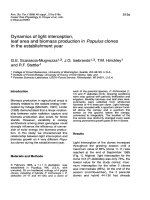 Báo cáo lâm nghiệp: 