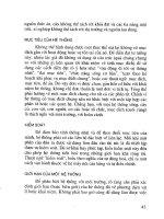 Phát triển hệ thống thông tin - Góc nhìn của người quản lý part 2 pps