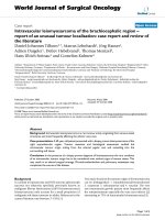 Báo cáo khoa học: 