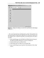 mastering sql server 2000 security PHẦN 10 pot