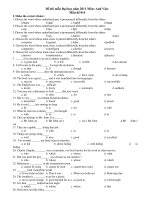 Đề thi mẫu Đại học năm 2011 Môn: Anh Văn Mẫu đề 014 ppsx