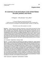 Báo cáo khoa học: 