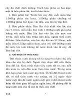 Kỹ thuật chăm sóc và chế biến cây chữa bệnh part 10 ppsx