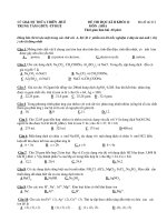 ĐỀ THI HỌC KÌ II KHỐI 12 MÔN : HÓA - Mã đề thi 012 ppsx