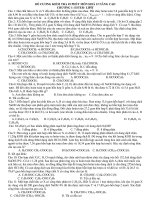 ĐỀ CƯƠNG KIỂM TRA 45 PHÚT MÔN HOÁ 12 NÂNG CAO CHƯƠNG 1: ESTER- LIPIT pot