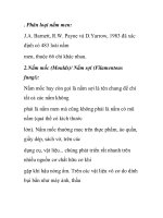 Phân loại nấm men: pdf