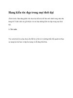 Hang kiểu tóc đẹp trong mọi thời đại pptx