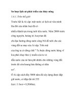 Sơ lược lịch sử phát triển của thủy nông pptx