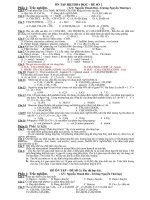 ÔN TẬP HKI HÓA HỌC – ĐỀ SỐ 1 pptx