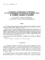 Báo cáo lâm nghiệp: 