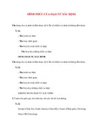 Ngữ pháp Tiếng Anh thông dụng: HÌNH THỨC CỦA MẠO TỪ XÁC ĐỊNH pdf