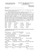 ĐỀ THI THỬ TỐT NGHIỆP THPT 2011 (LẦN 3) MÔN TIẾNG ANH - Mã đề thi 468 doc