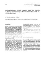 Báo cáo lâm nghiệp: 